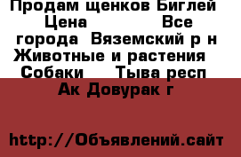 Продам щенков Биглей › Цена ­ 15 000 - Все города, Вяземский р-н Животные и растения » Собаки   . Тыва респ.,Ак-Довурак г.